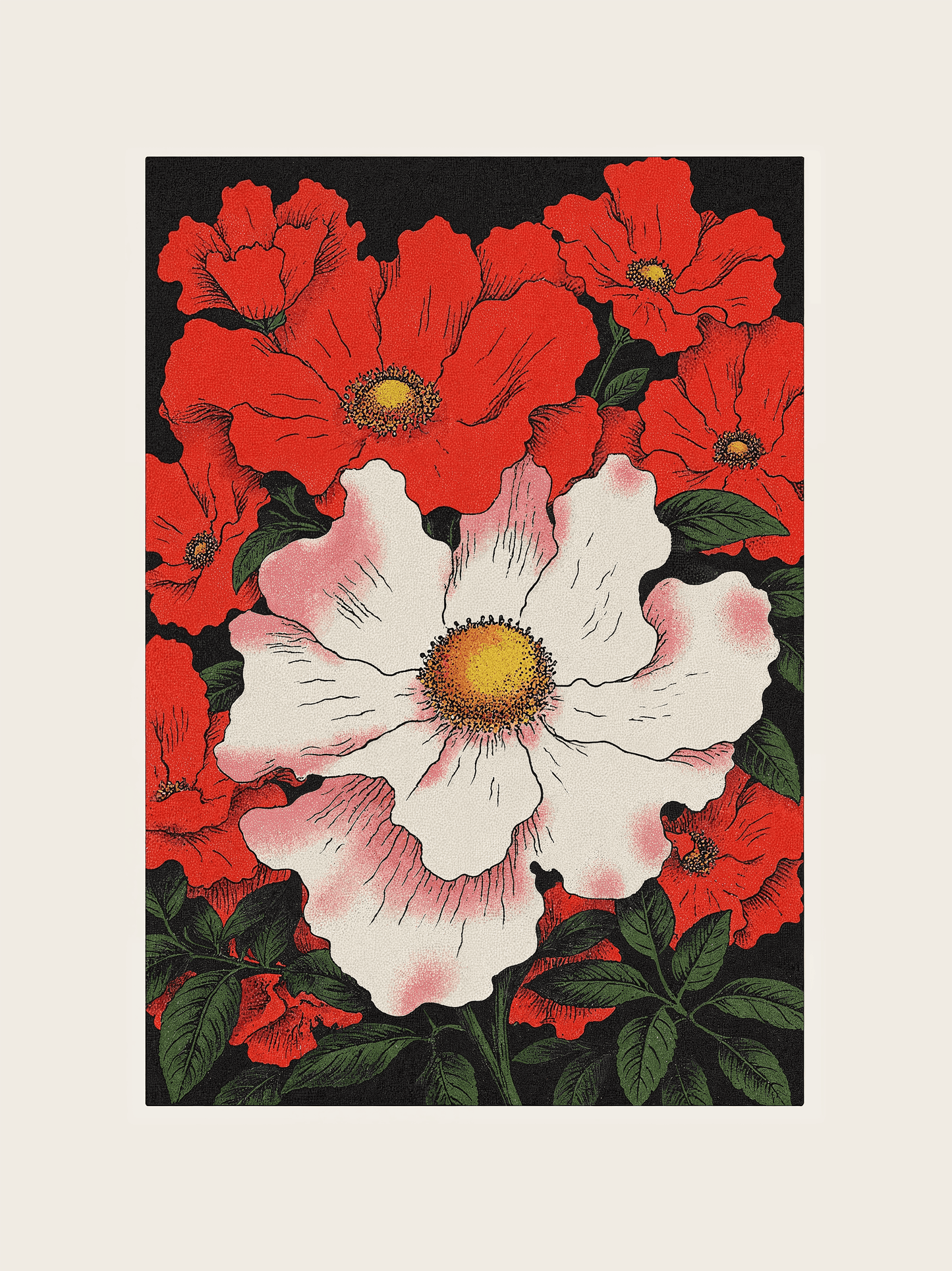 Poppies
